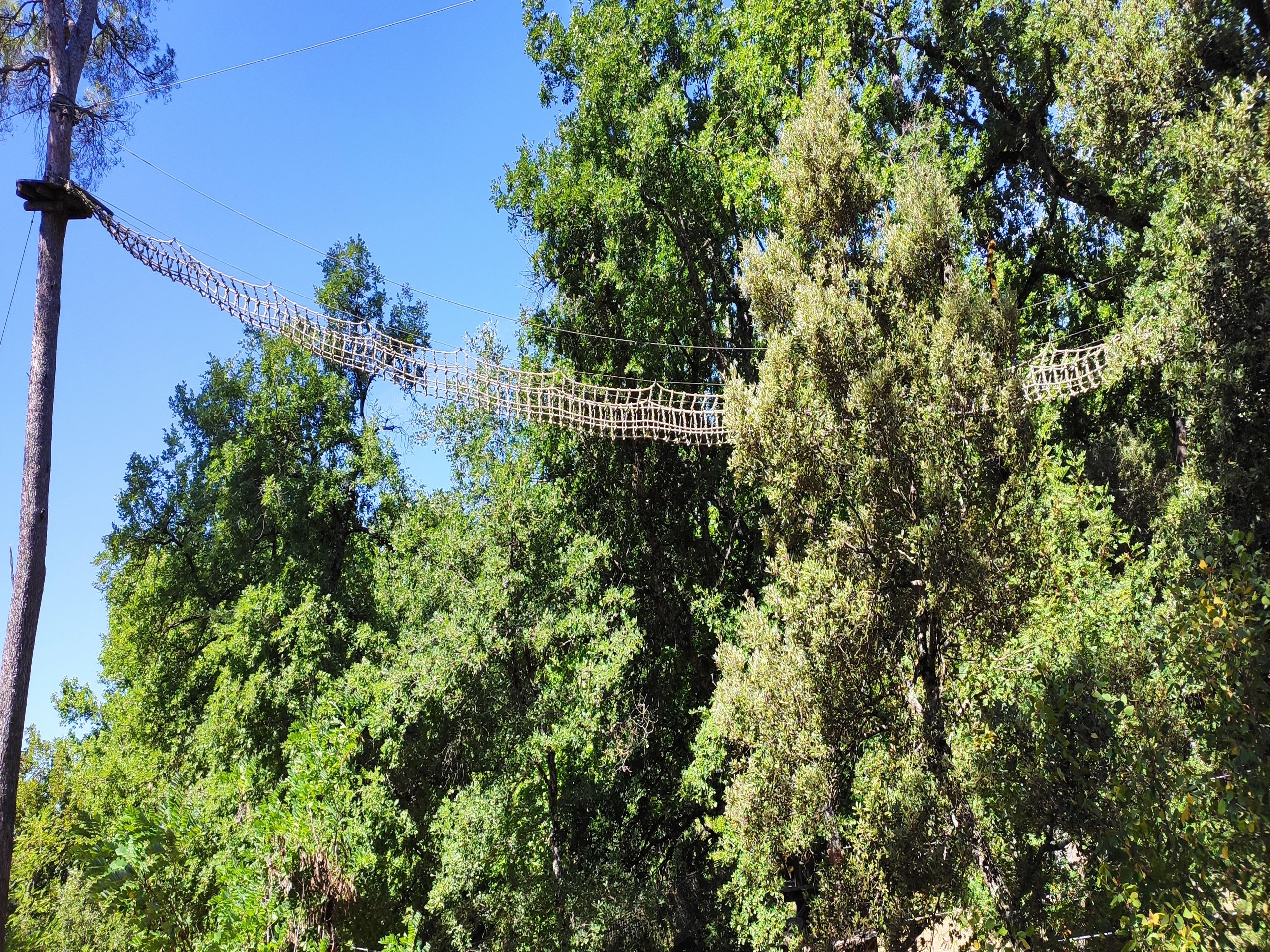 PARCOURS NOIR FILET A MARCHER CANYON PARC Greoux les bains