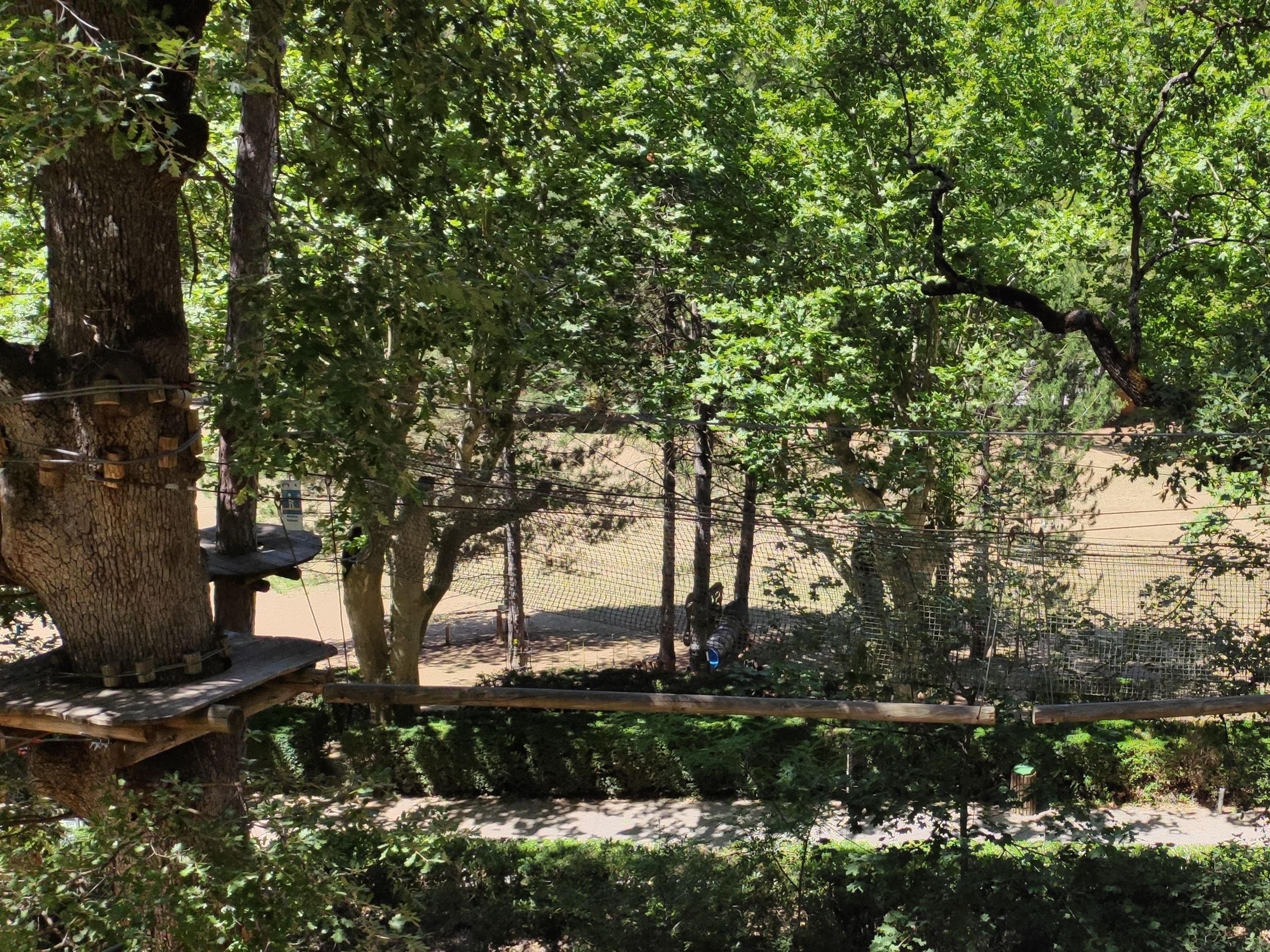 parcours vert ATELIER PARCOURS Equilibre dans les arbres Greoux les bains